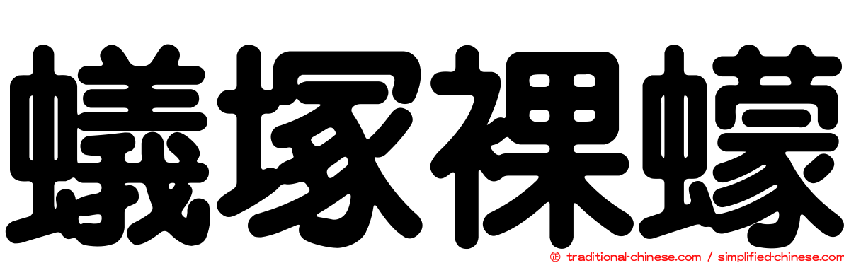 蟻塚裸蠓