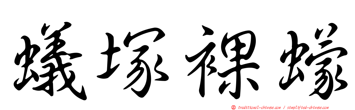蟻塚裸蠓