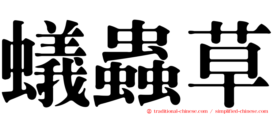 蟻蟲草