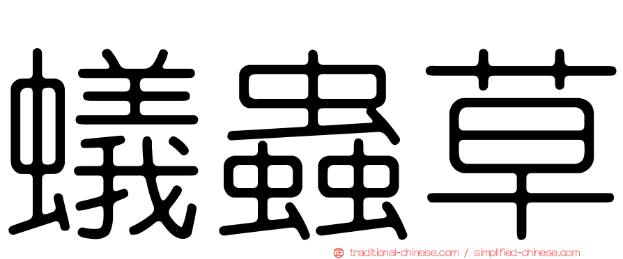 蟻蟲草