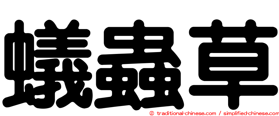 蟻蟲草