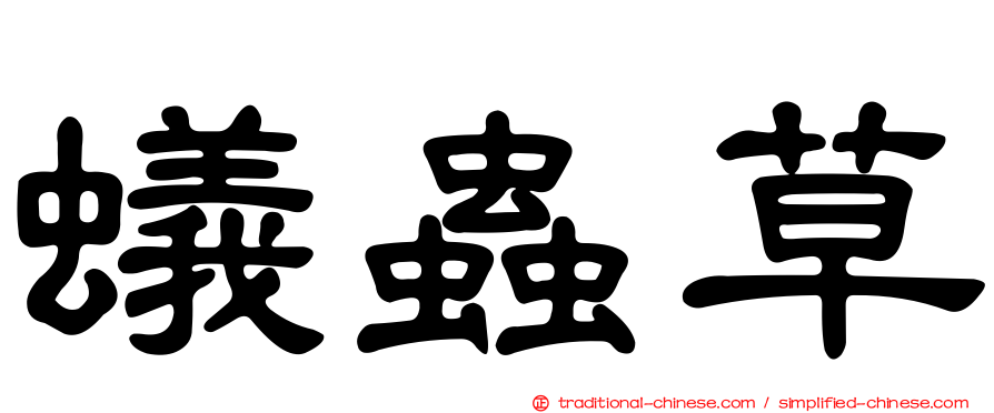 蟻蟲草