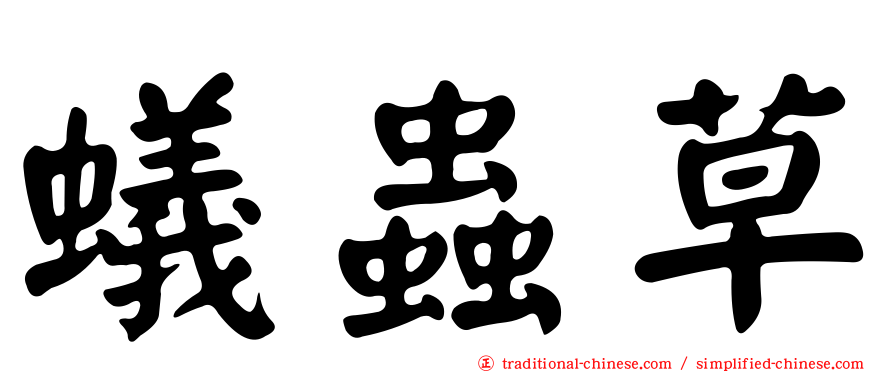 蟻蟲草