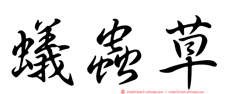 蟻蟲草