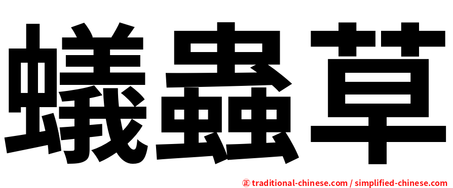 蟻蟲草