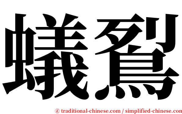 蟻鴷 serif font