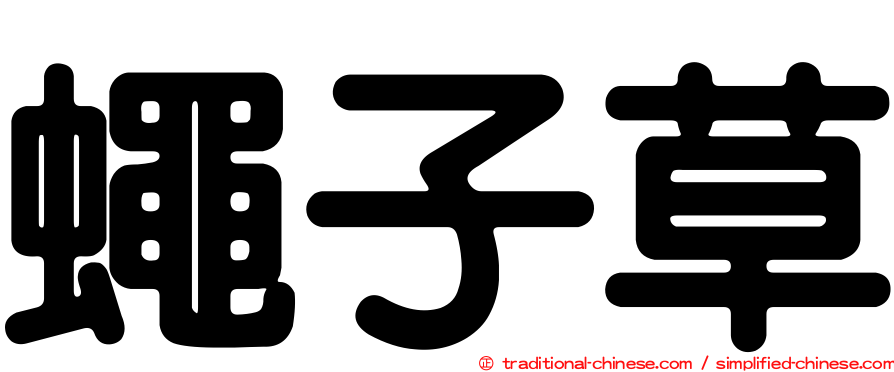 蠅子草