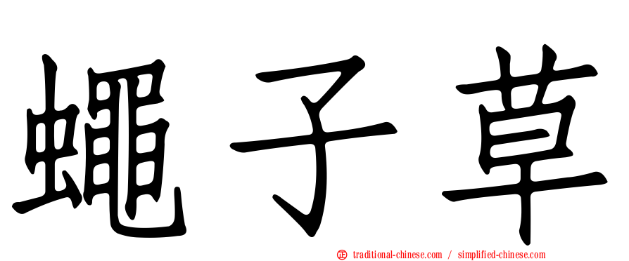 蠅子草