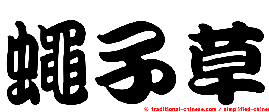 蠅子草