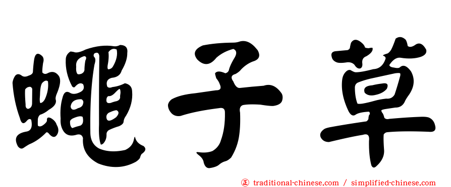 蠅子草