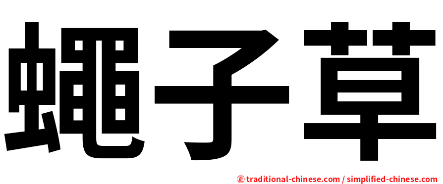 蠅子草