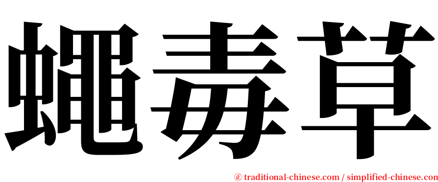 蠅毒草 serif font