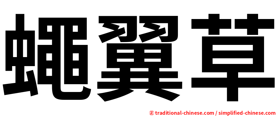 蠅翼草