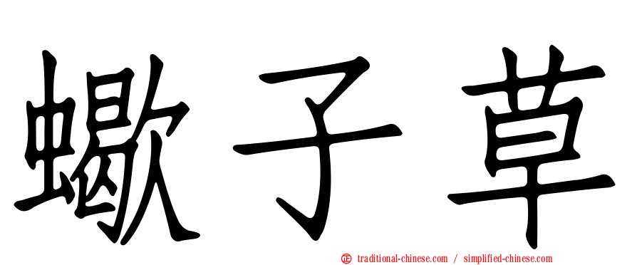 蠍子草