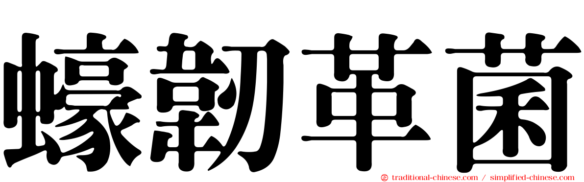 蠔韌革菌