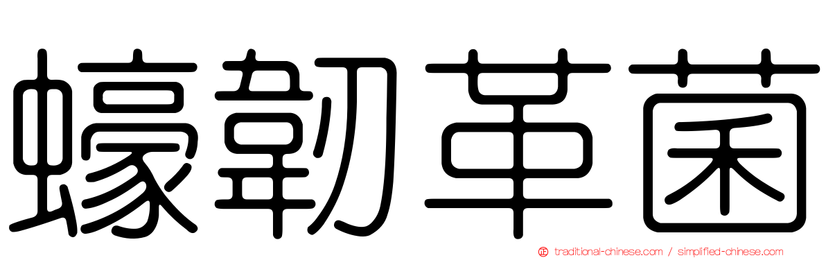 蠔韌革菌