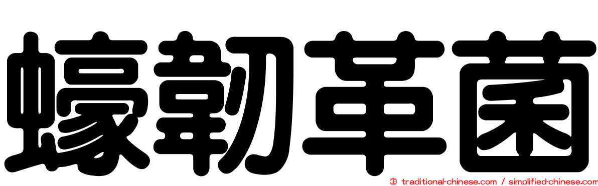 蠔韌革菌