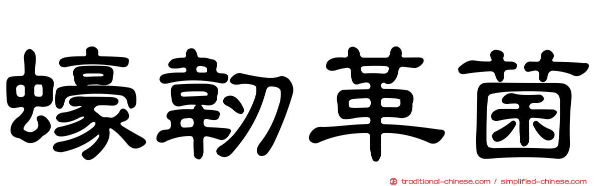 蠔韌革菌