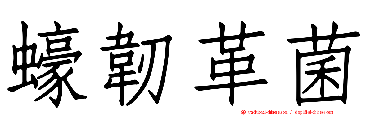 蠔韌革菌