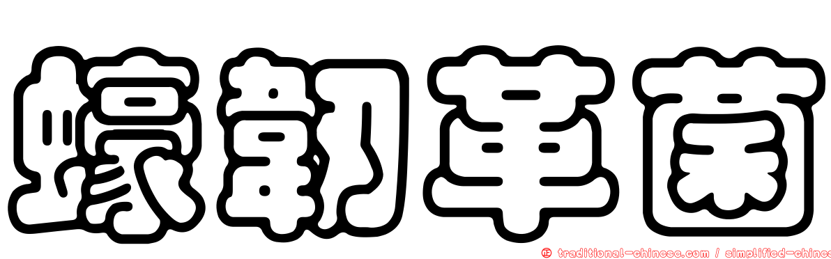 蠔韌革菌
