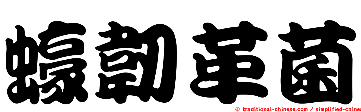 蠔韌革菌