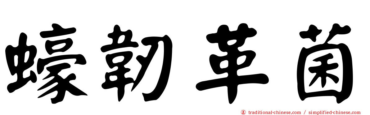 蠔韌革菌