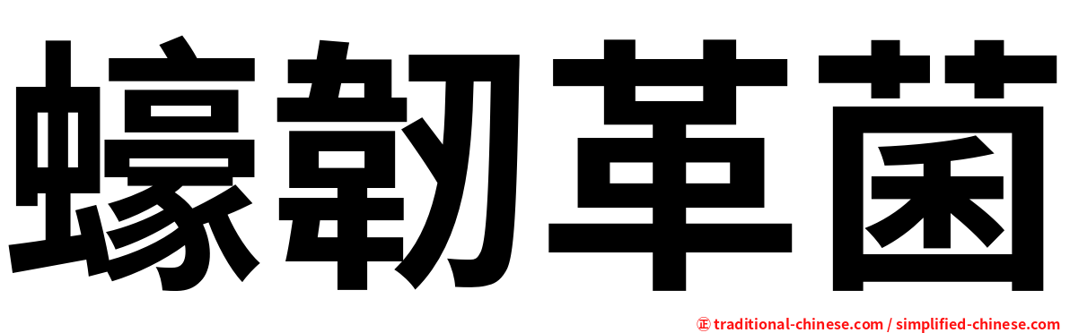 蠔韌革菌