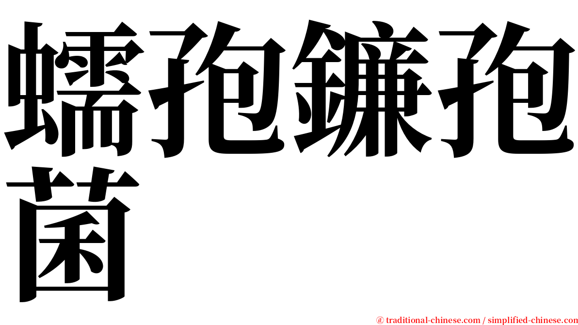 蠕孢鐮孢菌 serif font