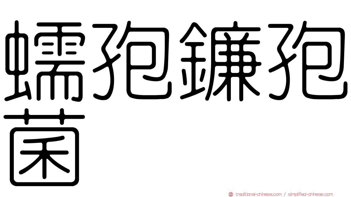 蠕孢鐮孢菌