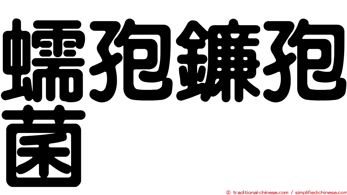 蠕孢鐮孢菌