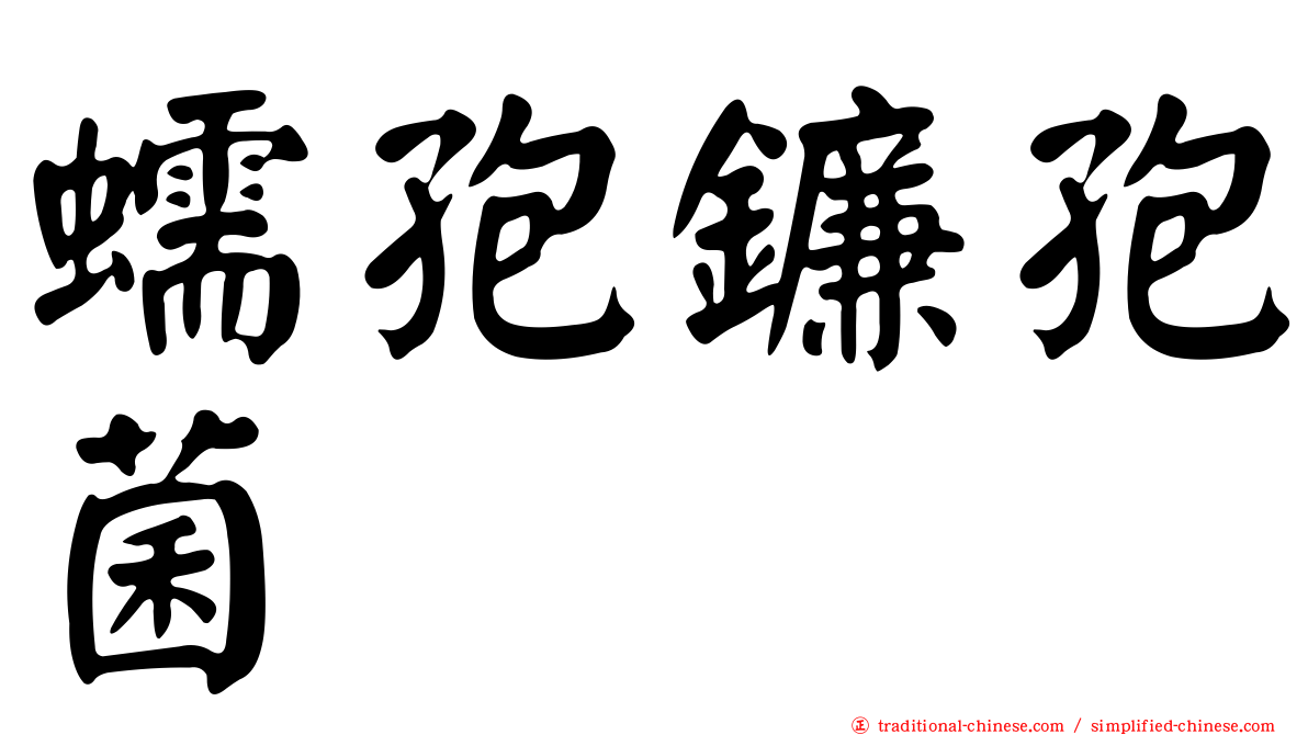 蠕孢鐮孢菌
