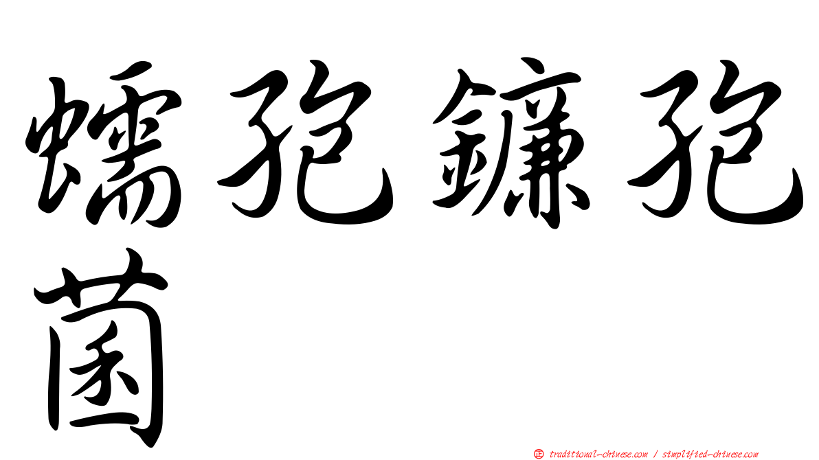 蠕孢鐮孢菌