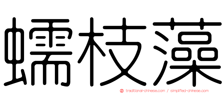 蠕枝藻