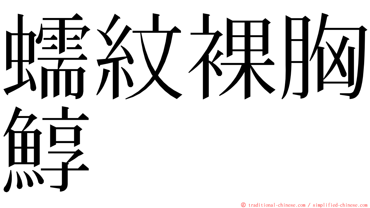 蠕紋裸胸鯙 ming font