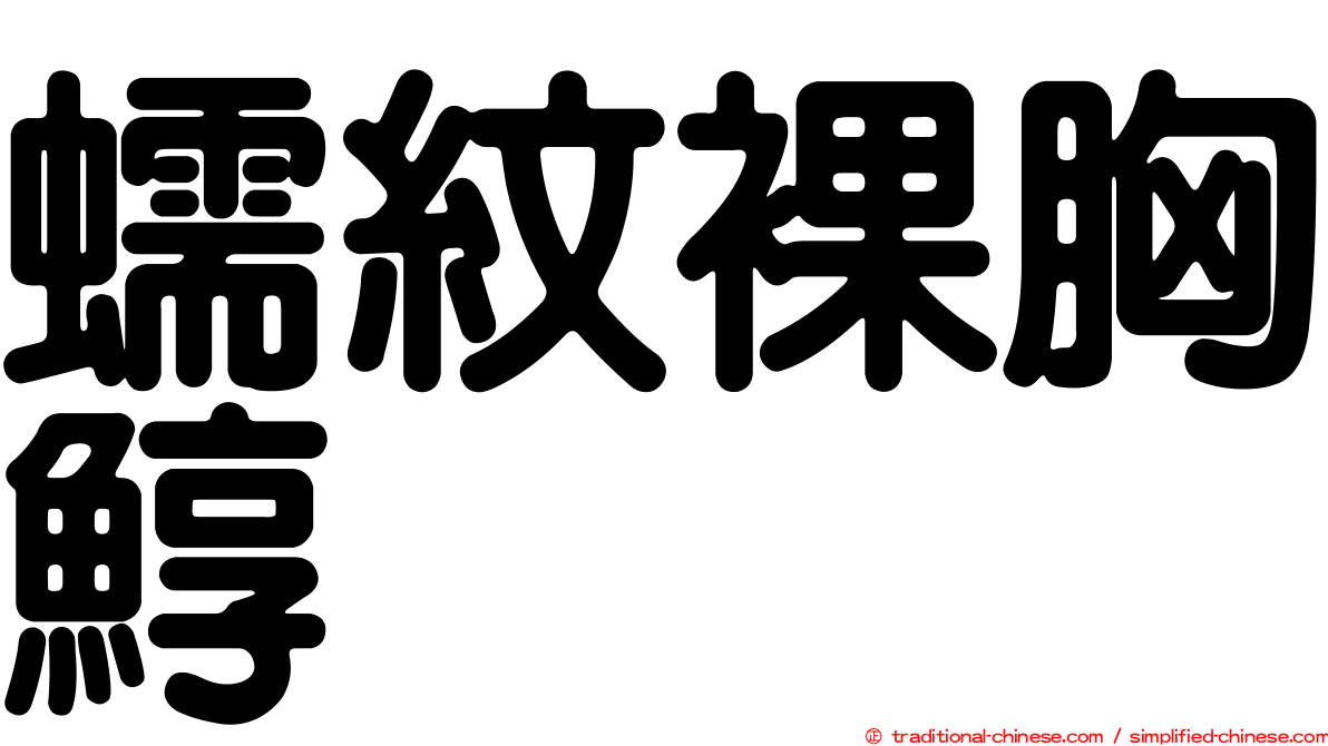 蠕紋裸胸鯙