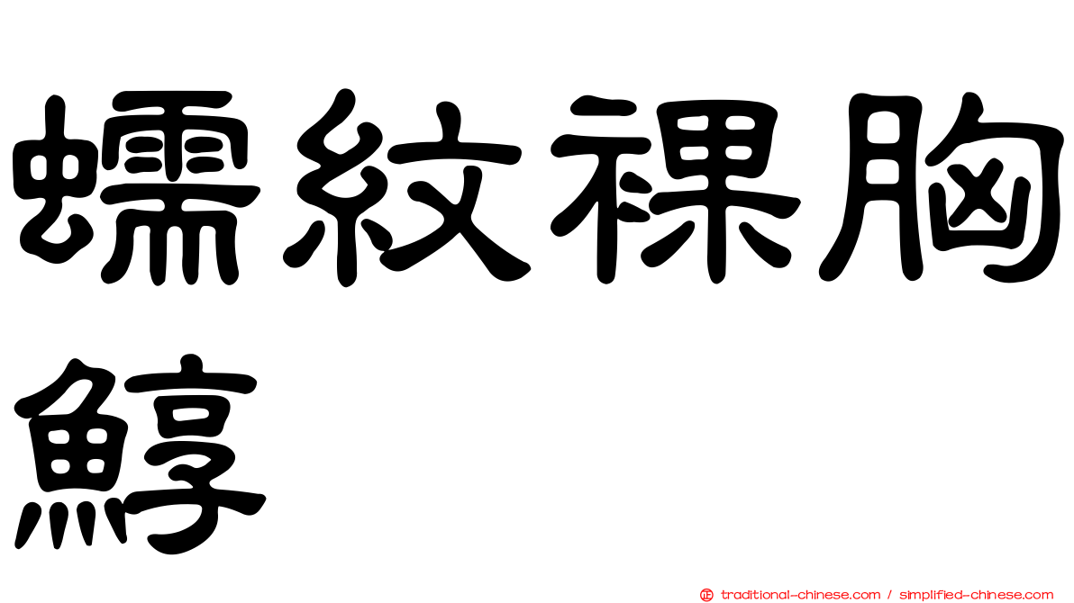 蠕紋裸胸鯙