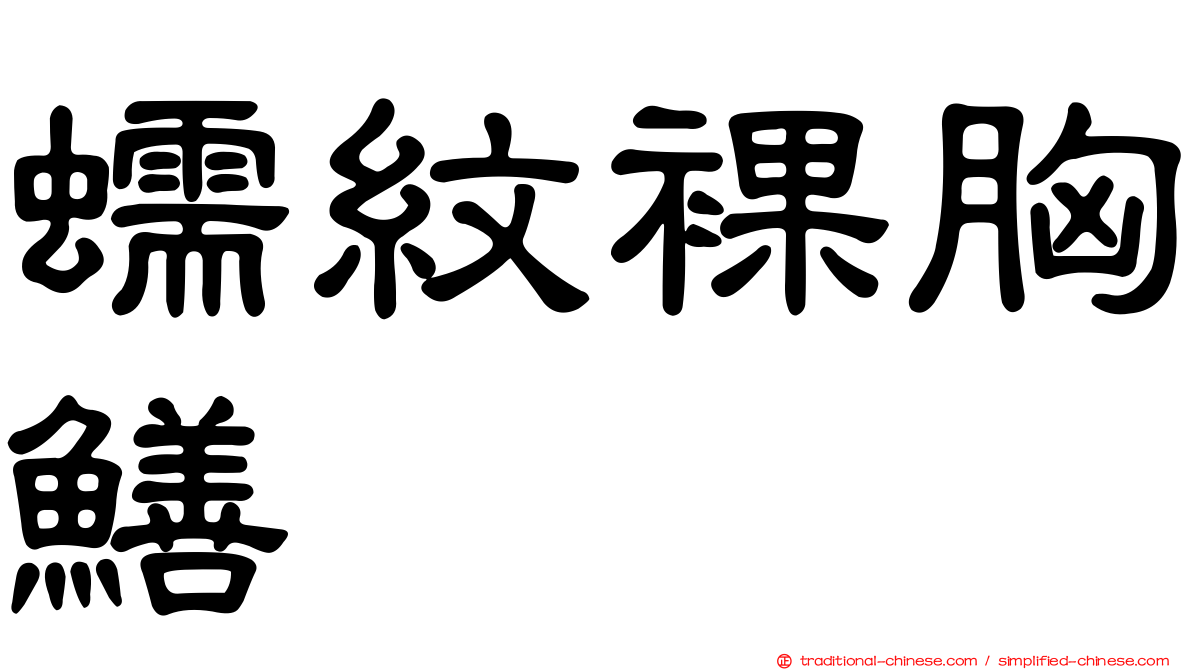 蠕紋裸胸鱔