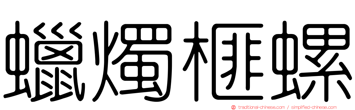 蠟燭榧螺