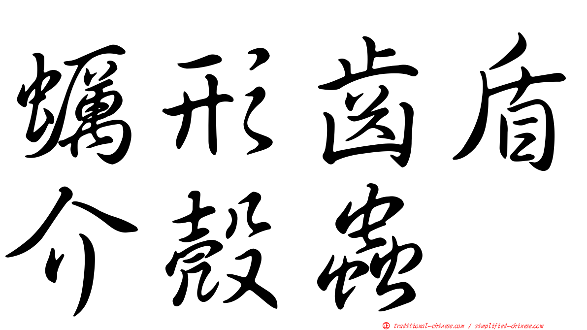 蠣形齒盾介殼蟲