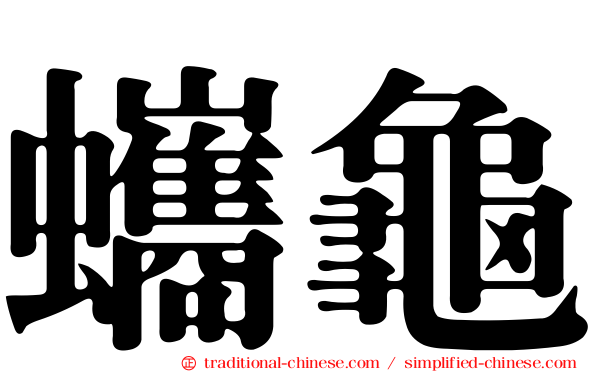 蠵龜