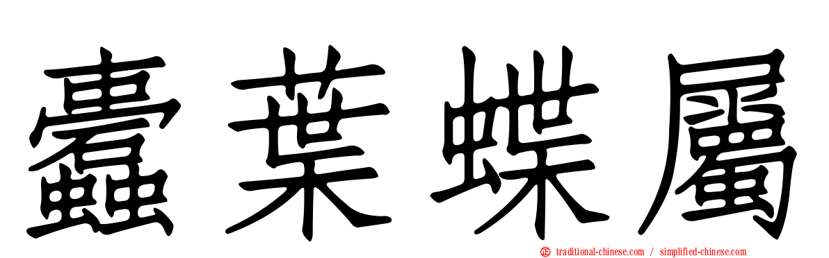 蠹葉蝶屬