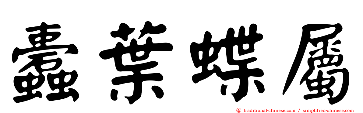 蠹葉蝶屬