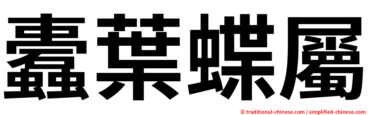 蠹葉蝶屬