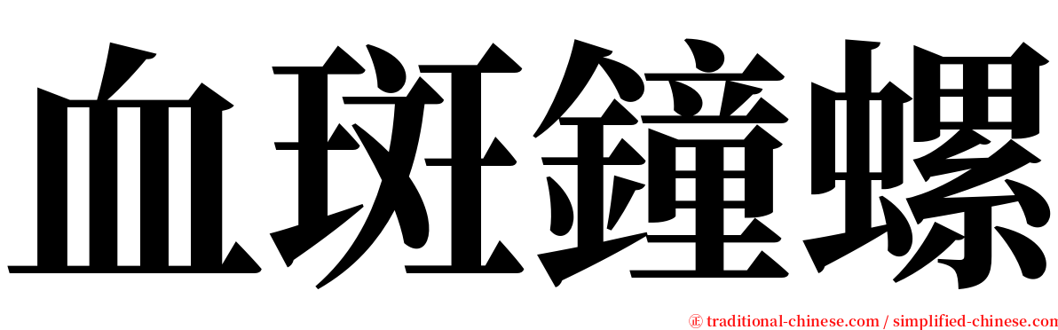 血斑鐘螺 serif font