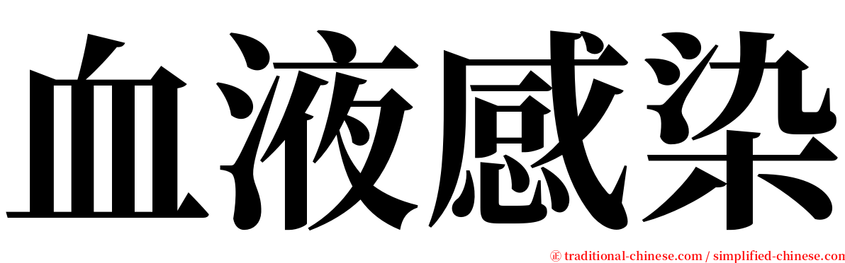 血液感染 serif font