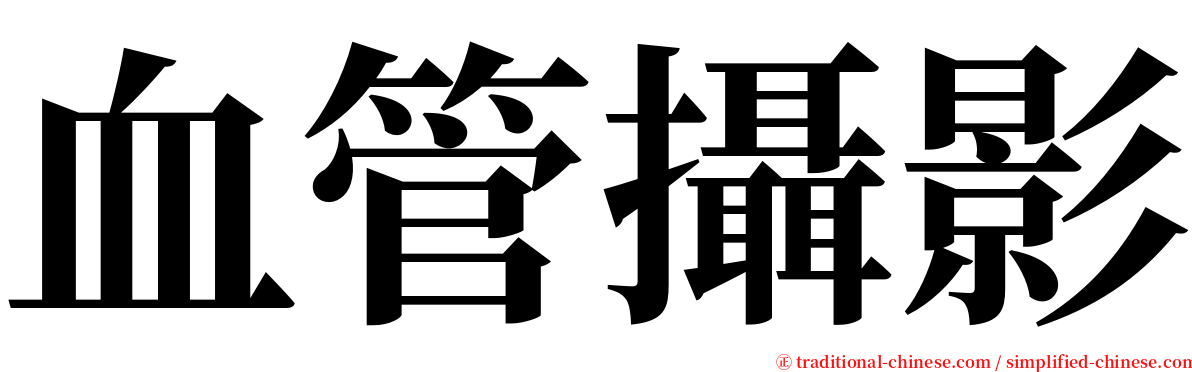 血管攝影 serif font