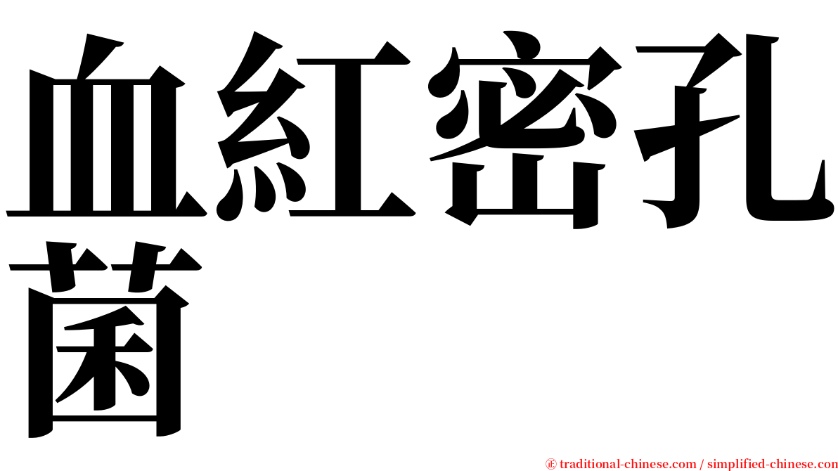 血紅密孔菌 serif font