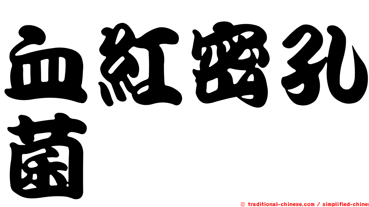 血紅密孔菌