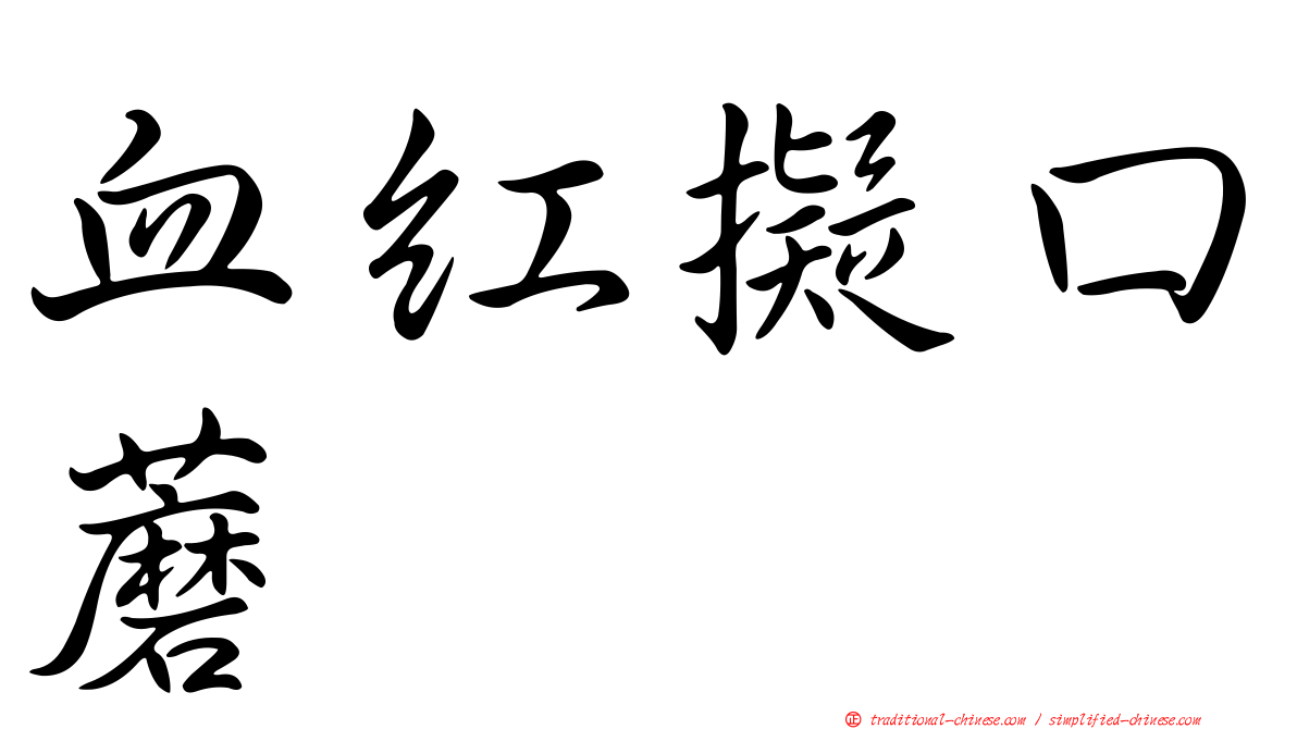 血紅擬口蘑