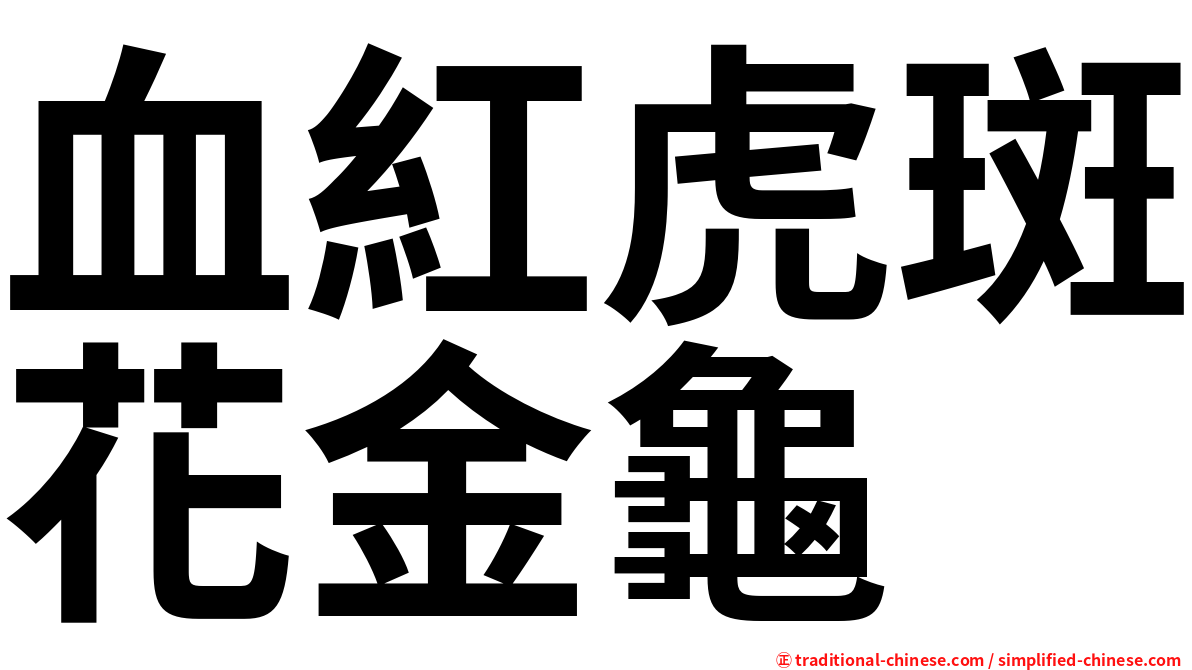 血紅虎斑花金龜